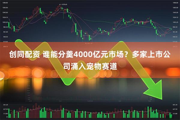 创同配资 谁能分羹4000亿元市场？多家上市公司涌入宠物赛道