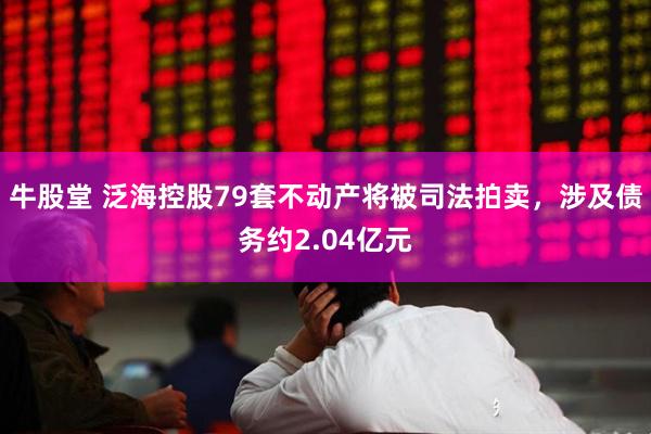 牛股堂 泛海控股79套不动产将被司法拍卖，涉及债务约2.04亿元